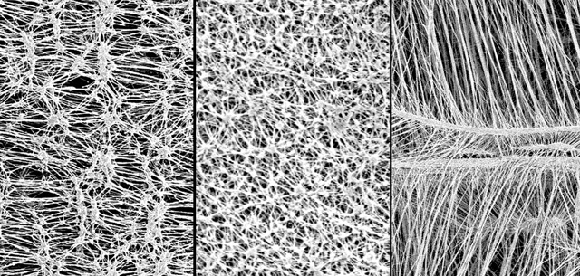 Expanded polytetrafluoroethylene (ePTFE) membrane